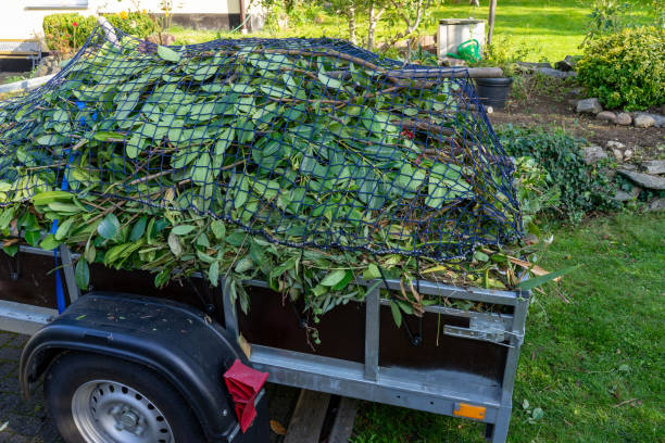  Wilton Manors, FL Junk Removal Services Pros
